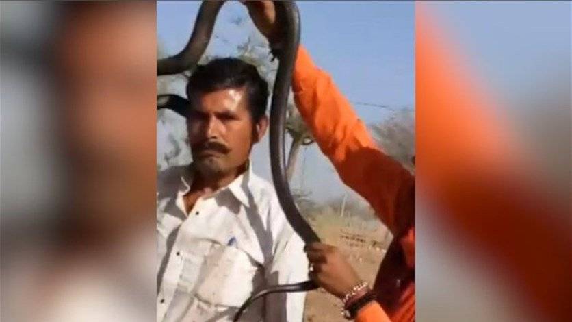 بالفيديو: التقط صورة مع أفعى الكوبرا... فتوفي بعد لحظات!!