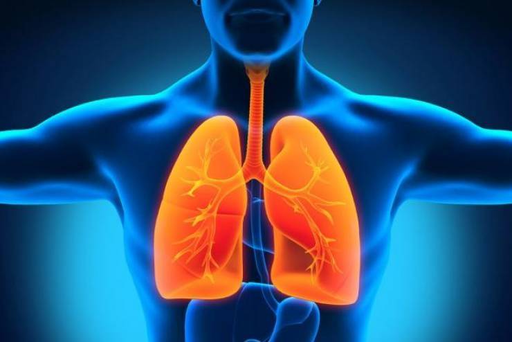 5 علامات تعني انك بحاجة إلى تنظيف رئتيك فوراً!