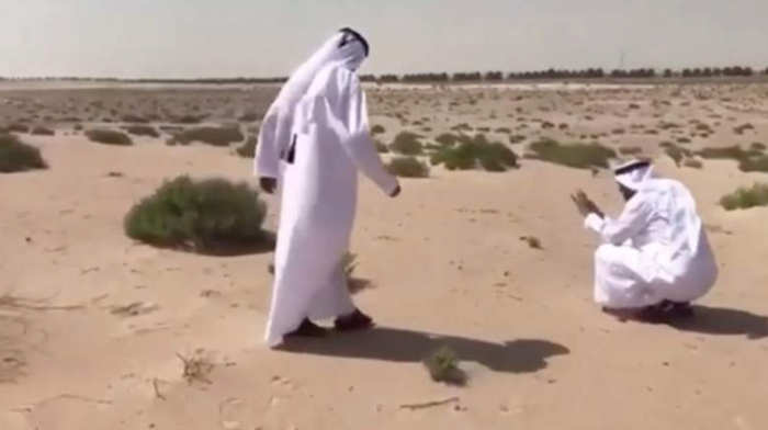 حاكم دبي يأمر بنقل موقع مشروعٍ بناء من أجل عصفور