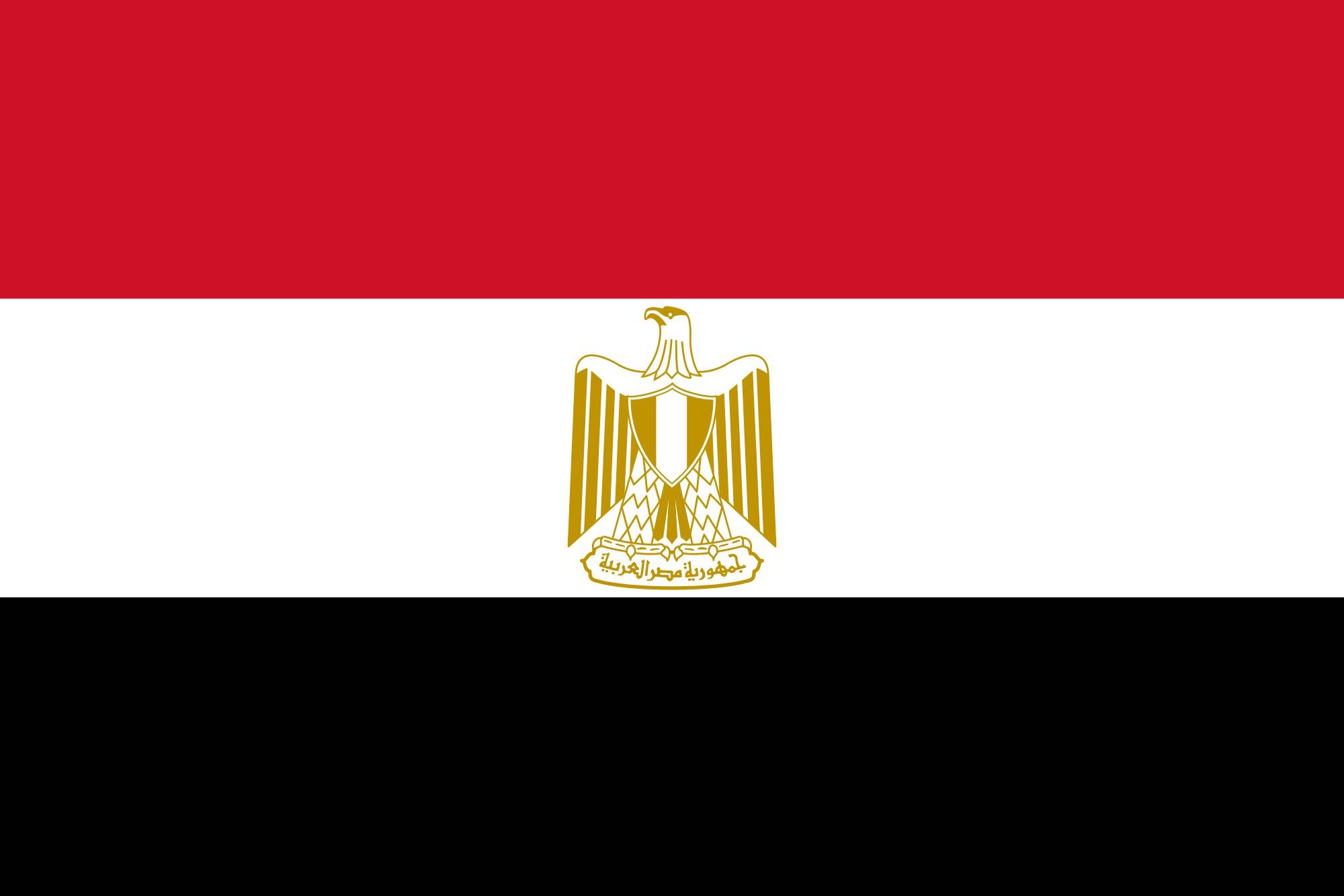 مندوب مصر: بعض القوى الإقليمية يلعب دورا هدّاما في ليبيا