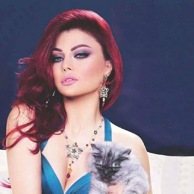اغتصاب هيفا وهبي من سائق ميكروباص!