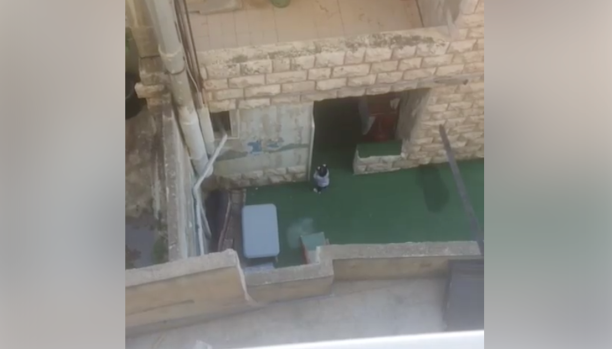 فيديو.. مديرة حضانة أردنية تعتدي بالضرب على طفلة صغيرة وتثير جدلاً واسعاً
