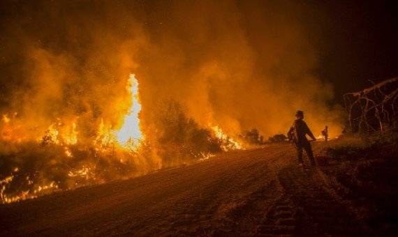 حريق غابات يهدد ألفي منزل في جنوب غرب فلوريدا