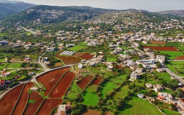 القبيات طالبت بحماية زهرة سوسن الارز المهددة بالانقراض