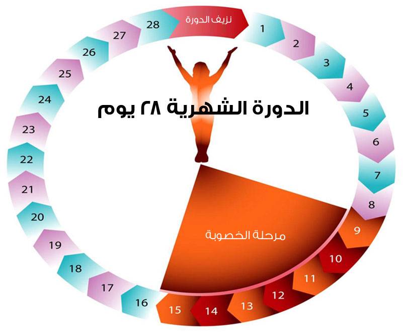 أسباب تأخر الدورة الشهرية...