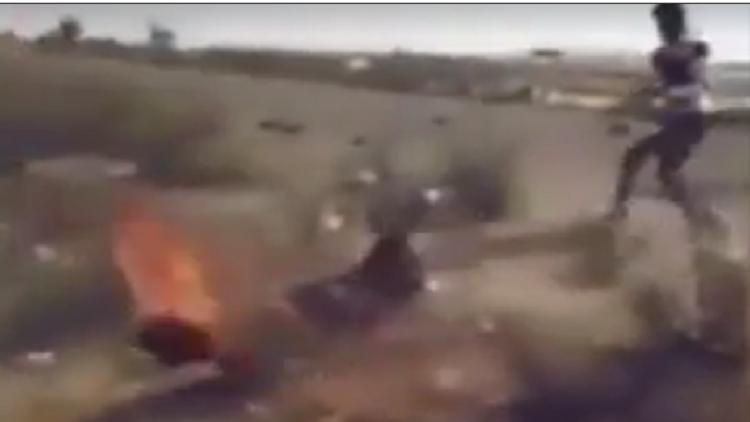 قبيلة مصرية تحرق "داعشيا" حيا في سيناء
..وفيديو يتضمن مشاهد قاسية
