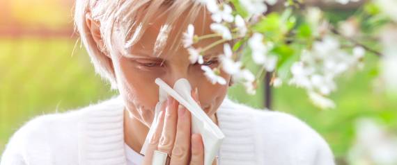 يتعلم ويطور نفسه من أجل البقاء.. 5 معلومات تجهلها عن جهازك المناعي
