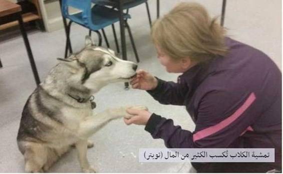 هذه أسهل مهن العالم... مع راتب كبير!