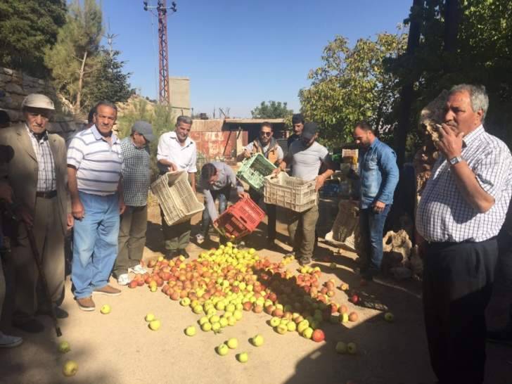 الهيئة العليا للاغاثة باشرت بتوزيع الدفعة الاولى من تعويضات التفاح