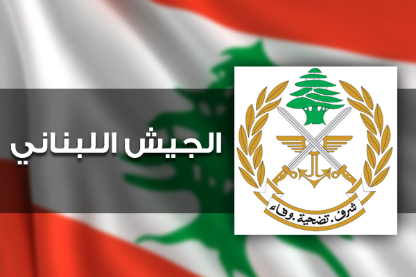 الجيش: تفجير الغام في محيط الناقورة