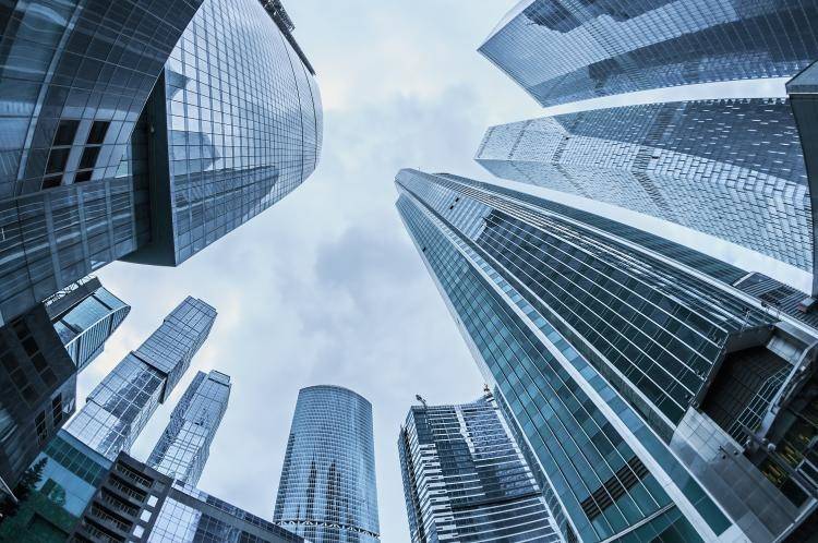 طيور مهاجرة ترتطم بناطحة سحاب وتنفق.. والسبب مضحك-مبكٍ!