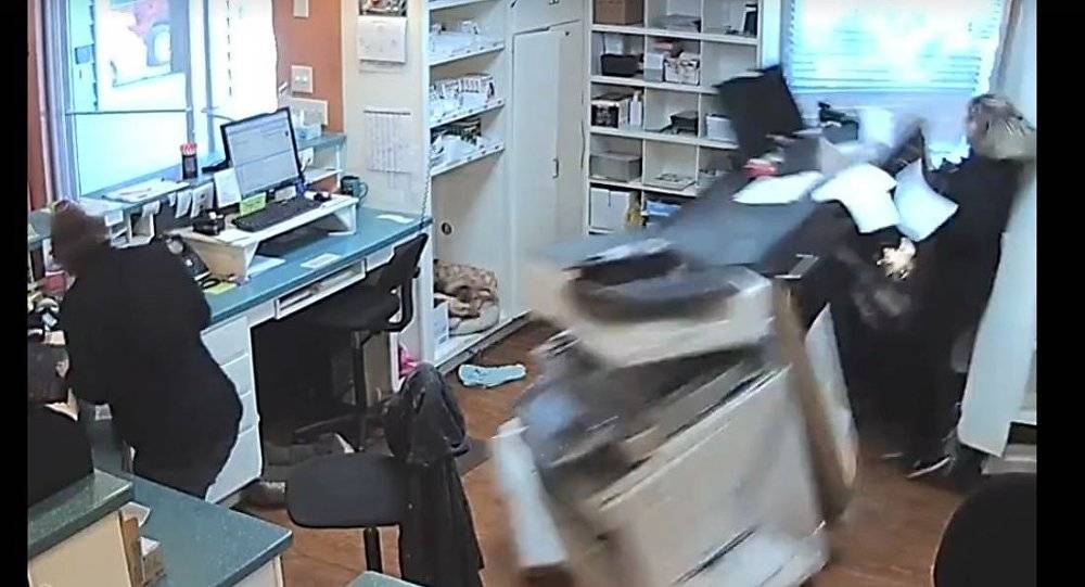 بالفيديو.. سيارة تقتحم عيادة بيطرية