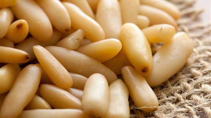 فوائد صحية مذهلة تجعل من الصنوبر أفضل أنواع المكسرات... تعرّفوا اليها!