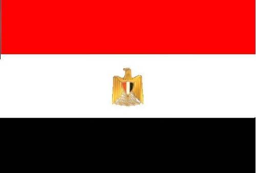 مصادر أمنية مصرية: مقتل 8 عناصر مسلحة خلال اشتباكات مع الشرطة في محافظة سوهاج جنوبي مصر