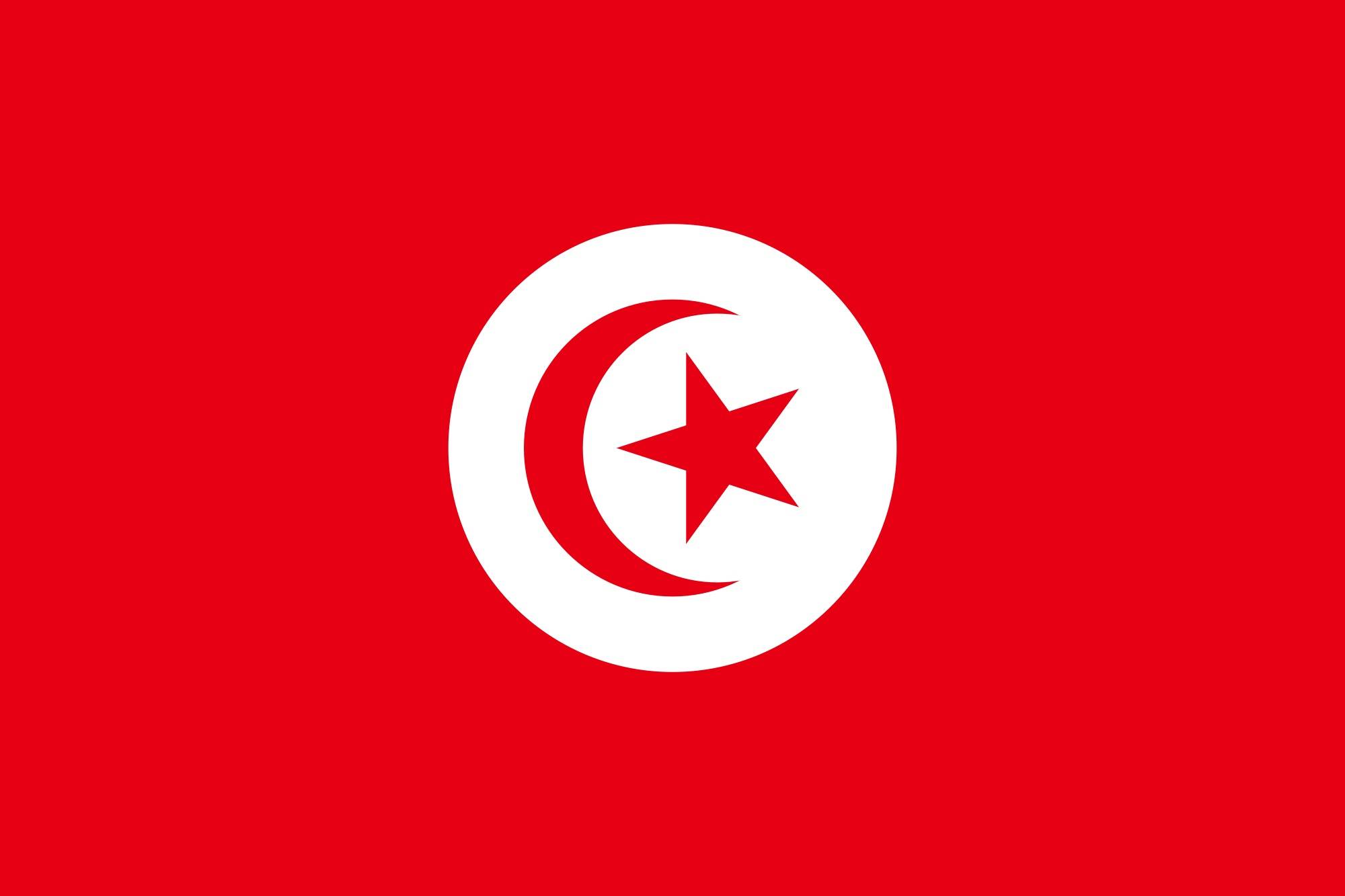 الرئيس التونسي: الجيش هو الذي سيحمي الدولة