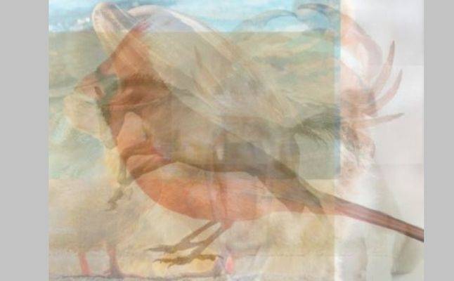 الحيوان الذي ترينه أولاً في الصورة يكشف شخصيتك!