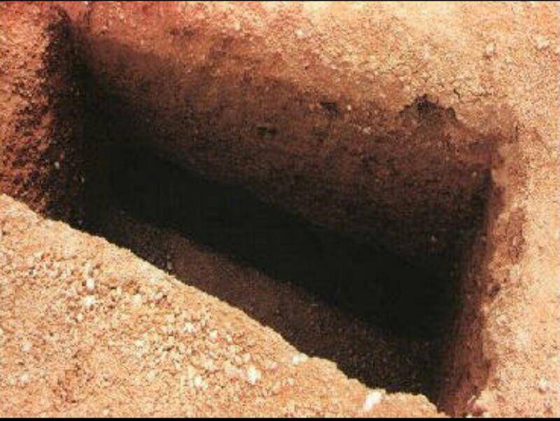 بالفيديو.. لن تصدقوا ماذا فعلت بعد أن دُفنت حية!!