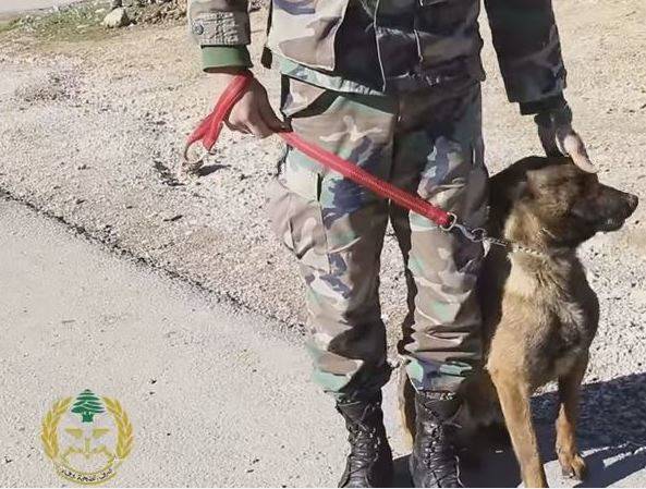 بالفيديو.. هكذا يدرب الجيش 