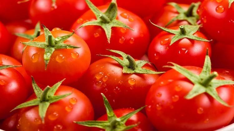 علماء: الطماطم تكافح سرطان المعدة
