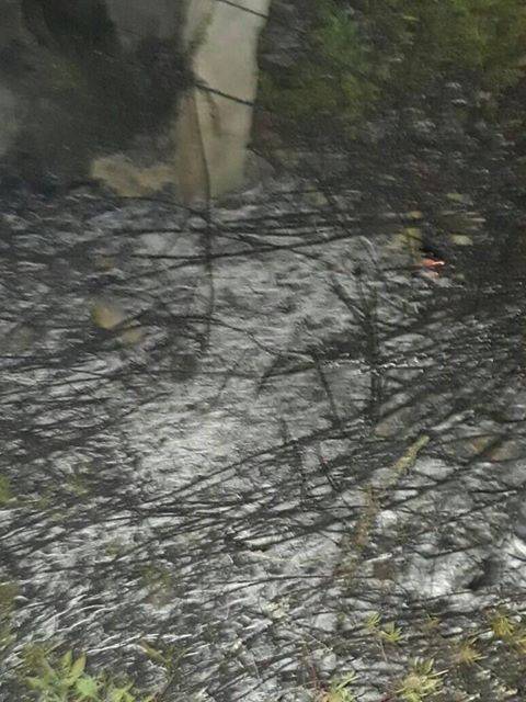 اندلاع حريق اعشاب في ساحة القدس