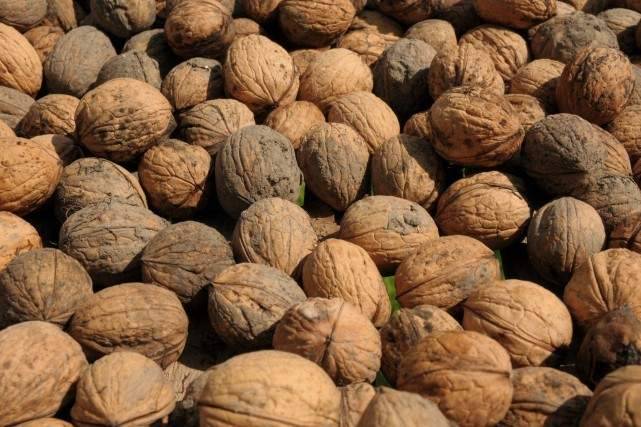 تناول المكسرات يقلص بنسبة 40 بالمئة من خطر تكرار الإصابة بسرطان القولون