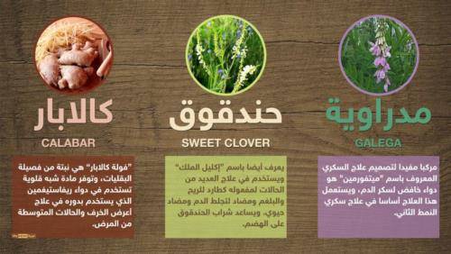 أعشاب تعالج أمراضا مستعصية