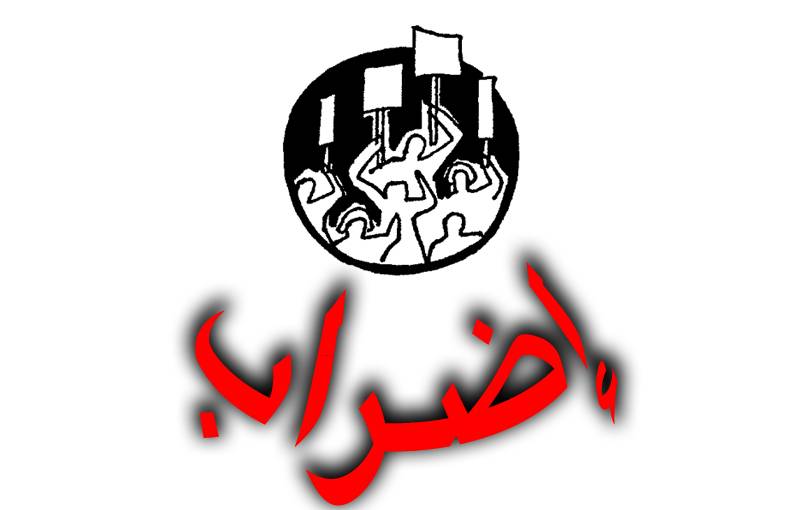 إضراب المؤسسات الرسمية في النبطية