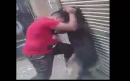طفل يصارع كلباً مفترساً.. فماذا كانت النتيجة؟