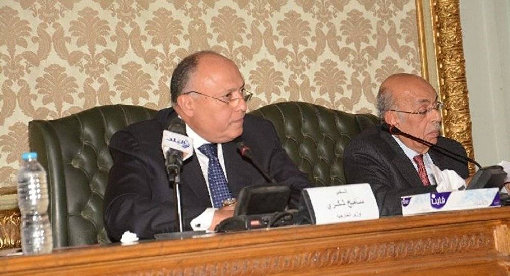 مصر تخطر مجلس الأمن بالضربات على ليبيا