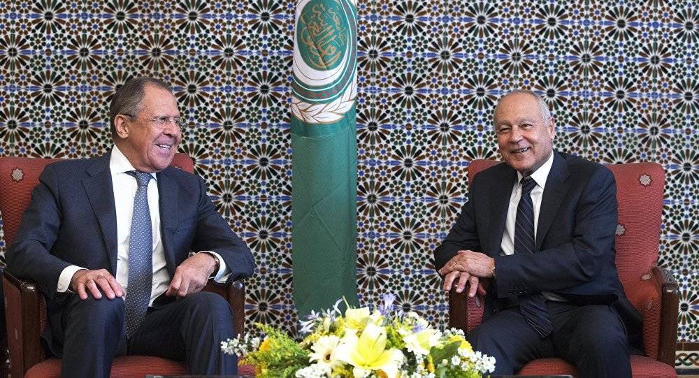 أبو الغيط: ندعم مناطق تخفيف التصعيد لكن وحدة سوريا أولا