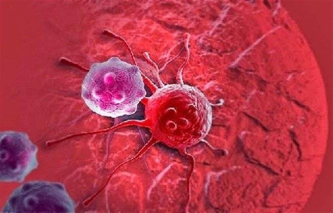 اكتشاف أجسام مضادة قادرة على محاربة السرطان