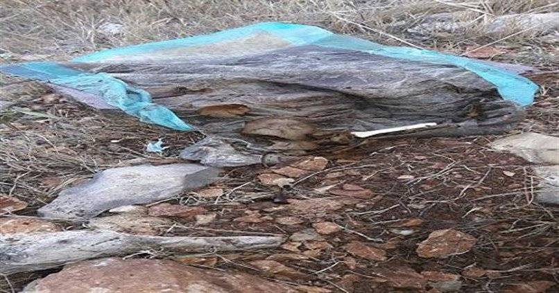 بالصور.. جريمة مروّعة في لبنان!