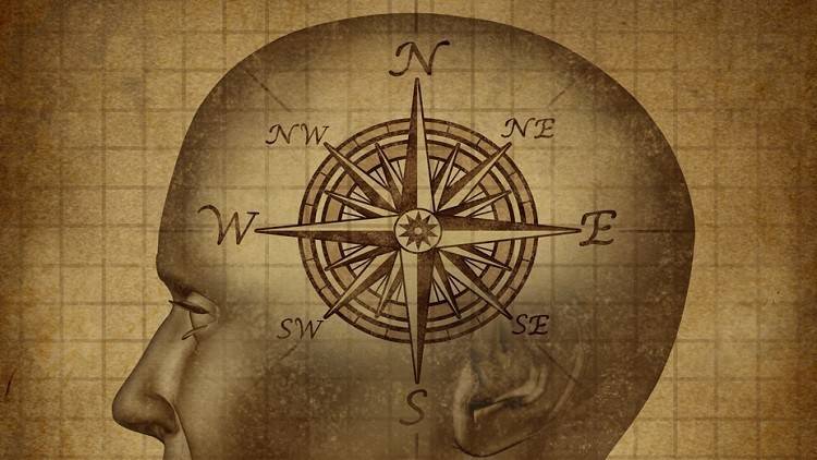 منظومة خاصة في الدماغ لتحديد المواقع!