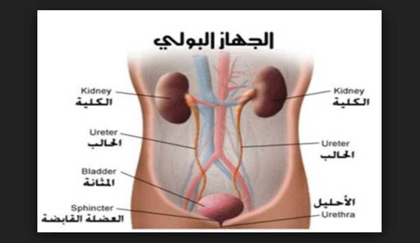 هذا ما يحدث لجسمك عندما تتأخر عن "التبول"!