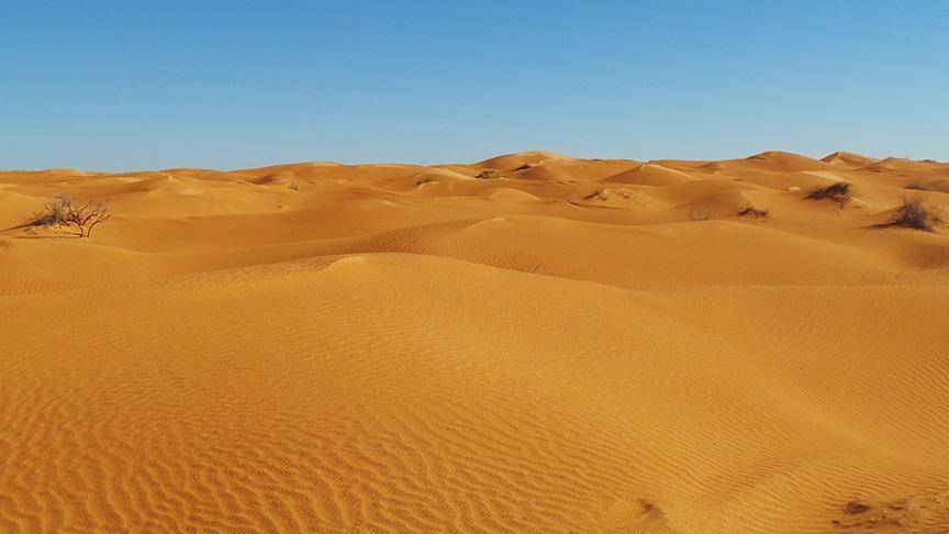 موت 44 مهاجر عطشاً في صحراء النيجر