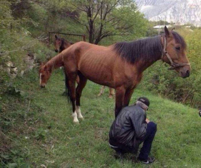 ركز جيداً في هذه الصور وسترى الحقيقة