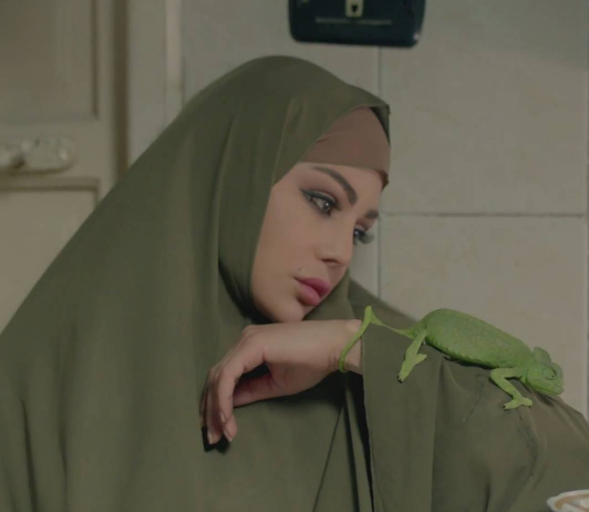 هيفاء وهبي بالحجاب وملتزمة دينيّاً .. ما سرّ هذه الصورة؟