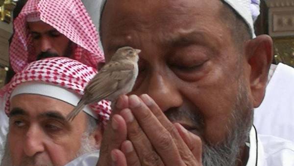 من هو صاحب هذه الصورة التي أشعلت مواقع التواصل؟