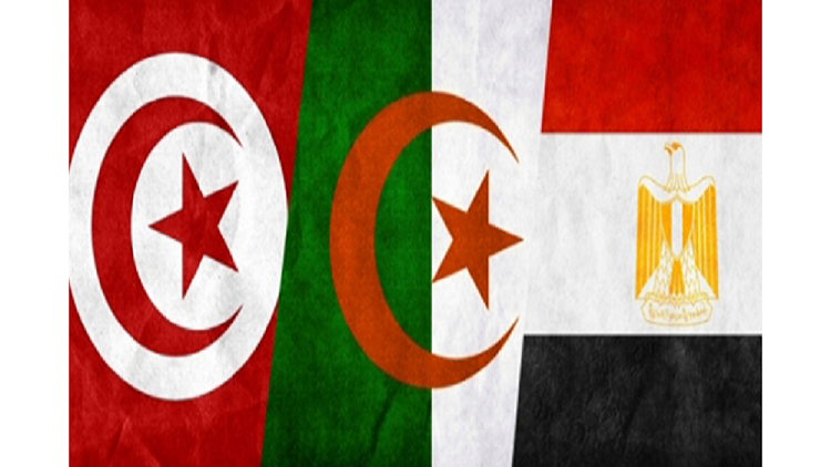 اتفاق تونسي-جزائري-مصري على الحل السياسي في ليبيا ورفض التدخل العسكري