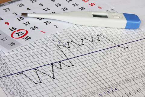 كيف تتتبعين أيام الإباضة؟