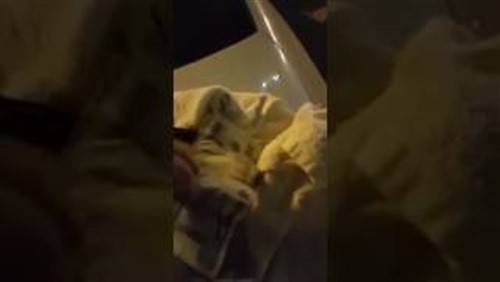 بالفيديو.. تنكَّر بملابس عامل نظافة للتسول بالحرم المكي!