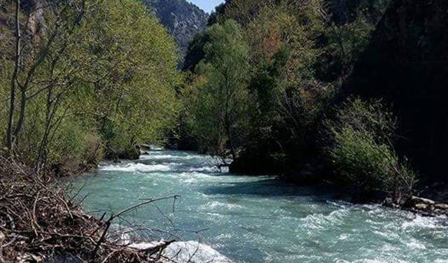 في احراج يحشوش.. شبان ضلوا طريقهم