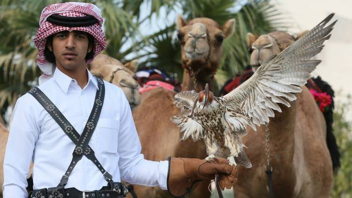الشهوة الجنسية وراء الأزمة القطرية!