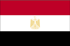محكمة مصرية تحيل أوراق 31 متهما باغتيال النائب العام السابق #هشام_بركات لمفتي البلاد للنظر في إمكانية إعدامهم