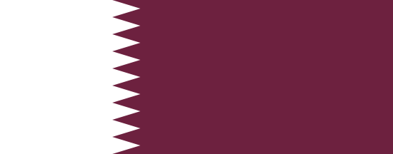 رئيس اللجنة القطرية لحقوق الإنسان: إجراءات الحصار على قطر تمثل انتهاكا لحرية الرأي والتعبير وآثار طالت مواطني الدول الأخرى