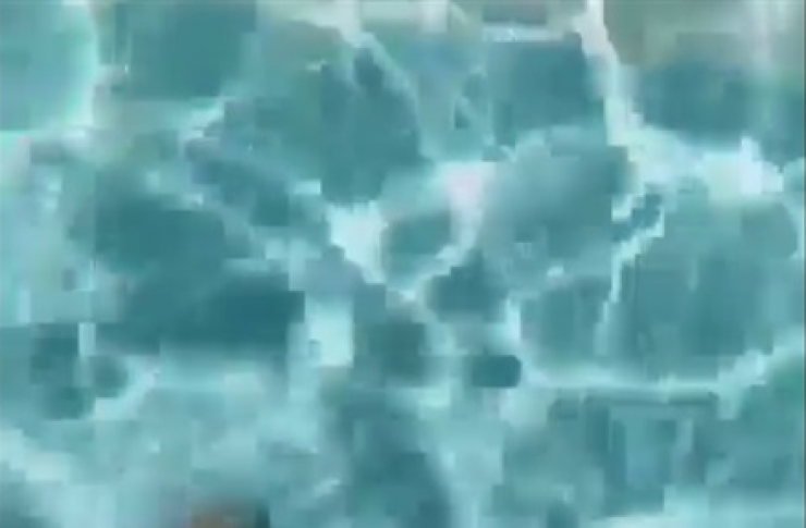 قاع حمام سباحة يثير رعب مشاهديه.. والسبب!