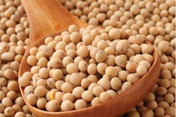 كيف تستفيدين من فول الصويا لخسارة الوزن؟