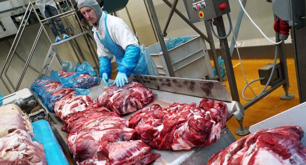 أهل غزة يستبدلون اللحوم الطازجة بالمجمدة