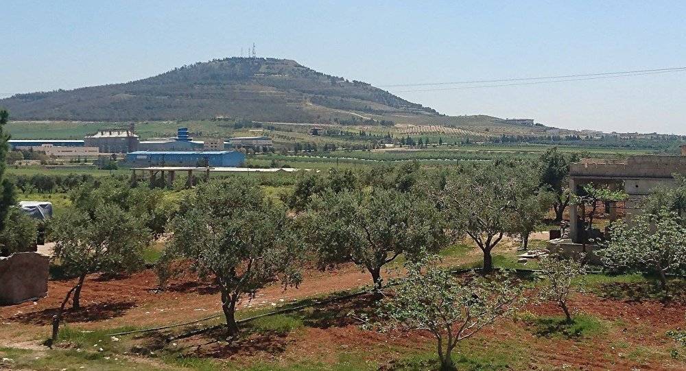 حمص... تقاتل "داعش" في الشرق وتجني الزيتون في الغرب