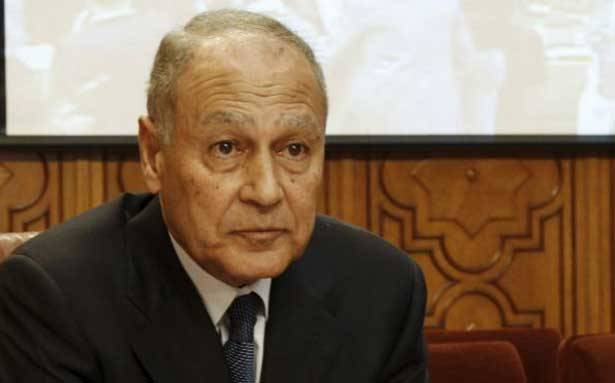 مفقود... أحمد أبو الغيط